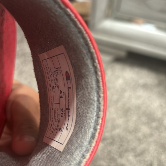 Champion Slides - Picture 4 of 4